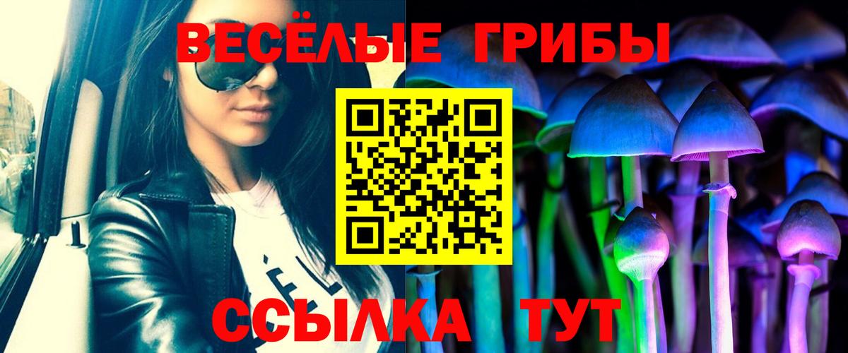 сколько стоит  Вход с VPN  Волхов  Псилоцибиновые грибы Magic Shrooms  Псилоцибиновые грибы GOLDEN TEACHER 